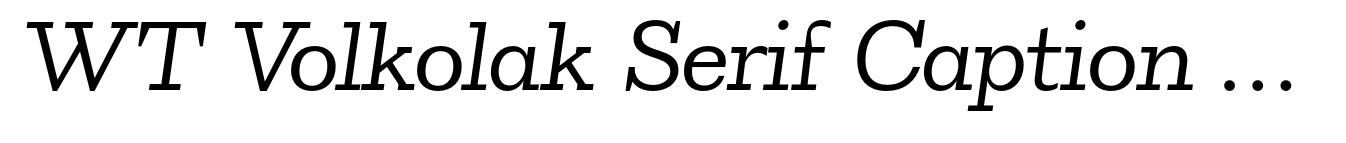 WT Volkolak Serif Caption Thin Italic